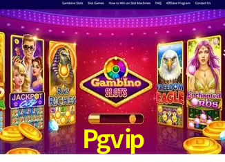 Descubra a Essência do Pgvip: Nossa História e Compromissos