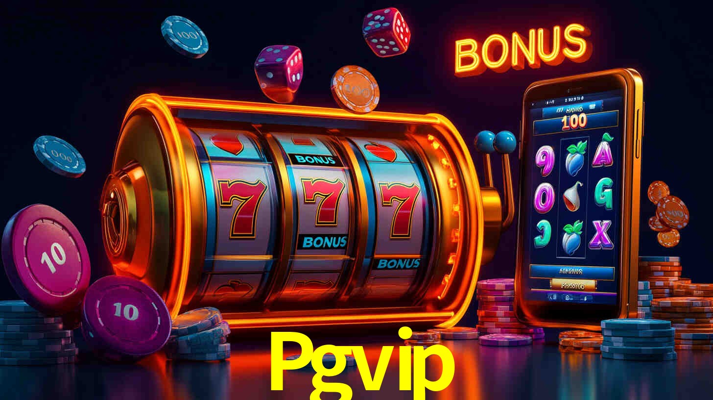 Interface Premium Pgvip